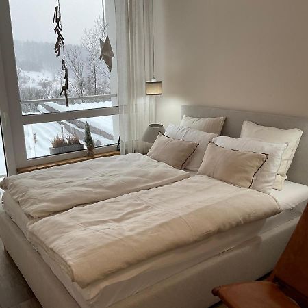 Hearth Hill View Apartment Ustroń Eksteriør bilde