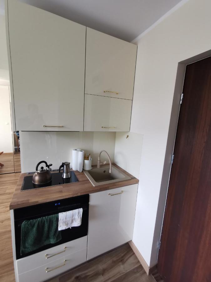 Hearth Hill View Apartment Ustroń Eksteriør bilde