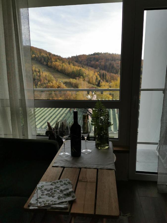 Hearth Hill View Apartment Ustroń Eksteriør bilde